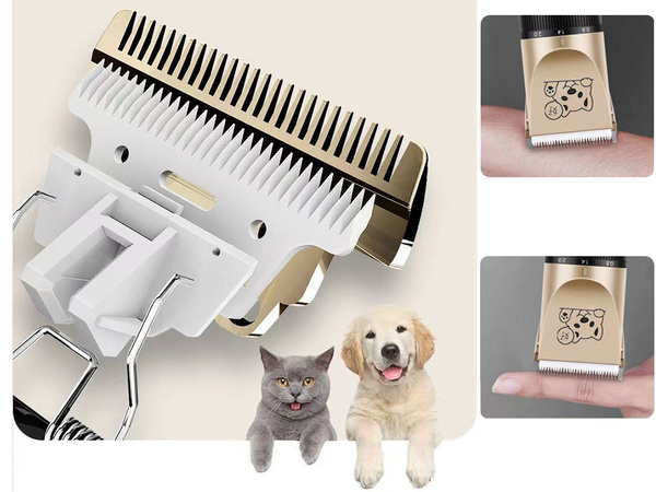 Set professionnel de tondeuses sans fil pour chiens et animaux de compagnie