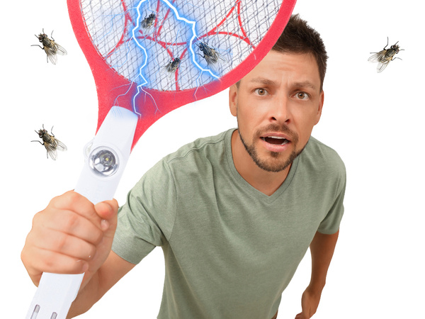 Palette électrique pour attraper les mouches paquet pour attraper les mouches moustiques mites acum.