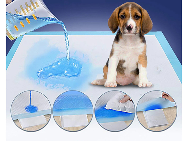 Materiel pour chiens enseignant a faire pisser 45x60 50 tailles