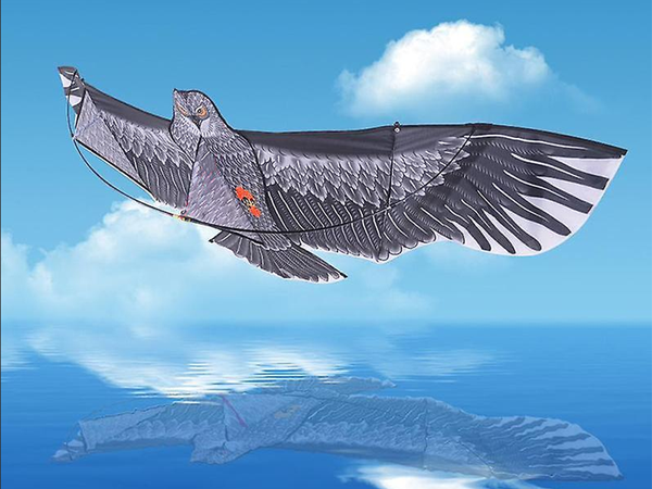 Cometa bird eagle 2m disuasor de aves con línea