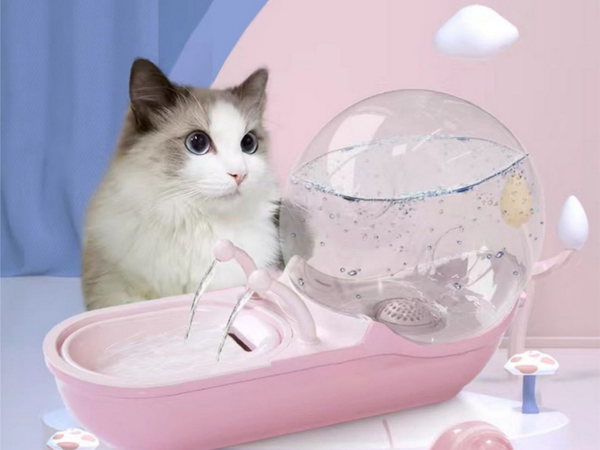 Automatische tränke für katze hund wasser brunnen filter tränke schüssel schnecke