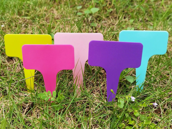 Etichete descriere plante caracteristici semințe 50pcs