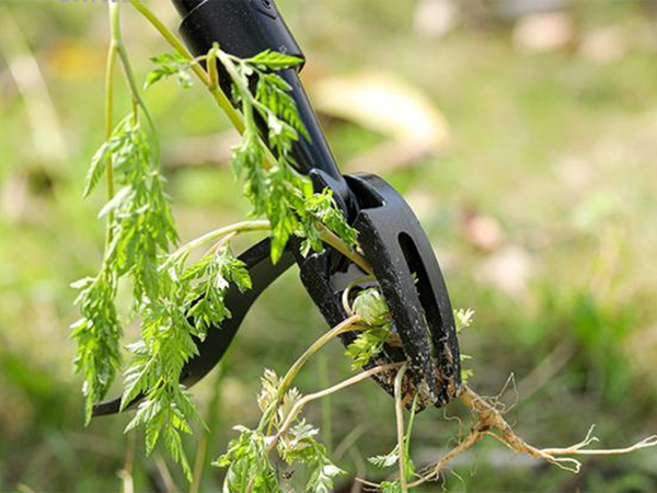 Outil d'arrachage de mauvaises herbes extracteur extracteur