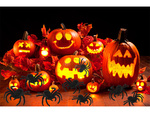 Halloween spinne 4 stück gross dekoration gruselig