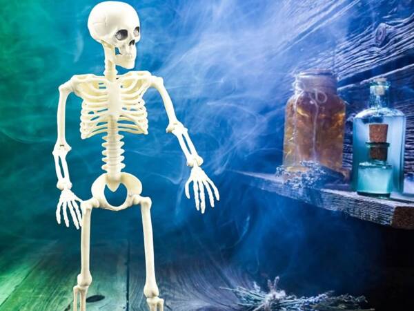 Emberi csontváz lógó 40cm halloween dekoráció mesterséges csontváz