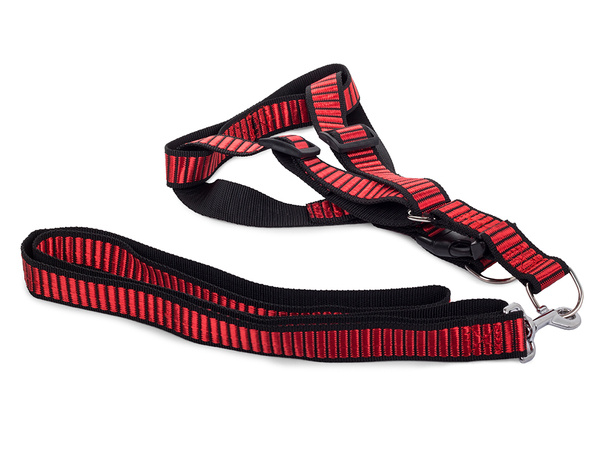 Lanyard ar harmlesses suņiem kaķējiem strong 2.5cm