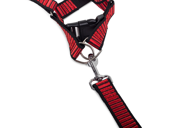 Lanyard ar harmlesses suņiem kaķējiem strong 2.5cm