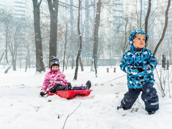 Plastmasas slīdošās ragavas ar atzveltni, bremzēm un vilkšanas auklu