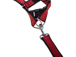 Lanyard ar harmlesses suņiem kaķējiem strong 2.5cm