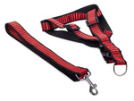 Lanyard ar harmlesses suņiem kaķējiem strong 2.5cm