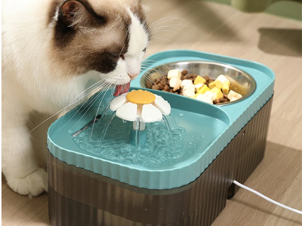Automatyczne poidełko dla kota psa fontanna wodna filtr miska na karmę