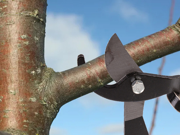Sekator nożyce ogrodowe ręczne do gałęzi krzewów długie kowadełkowy