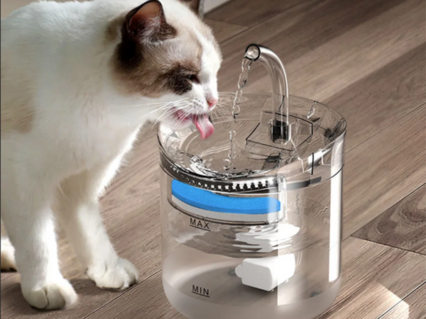 Автоматическая поилка для кошки собаки фонтан тихая чаша поилка