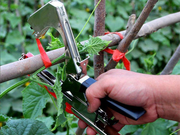 Степлер для растений садовый ленточный подвязыватель томатной лозы