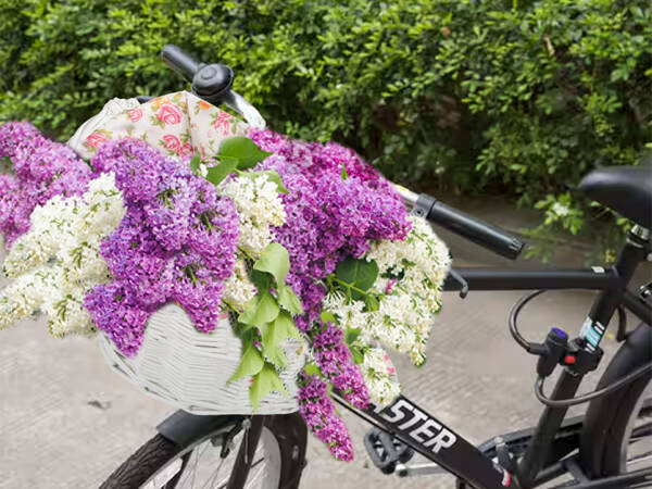 Veľký prútený košík na bicykel click košík na riadidlá s vložkou