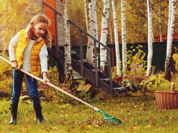 Záhradné hrable na lístie z ľahkého drôtu 36 cm v tvare vejára