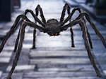 Halloween pavúk obrovská tarantula dekorácia