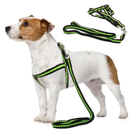 Lanyard con toldos extensibles perro-gato 125cm