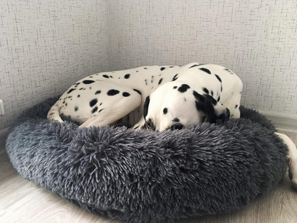 Cama de felpa perro gato corralito suave cojín sofá ropa de cama 100