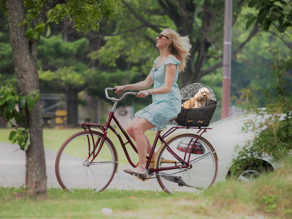 Gran cesta de la bicicleta cesta de la bicicleta tejida para el equipaje del perro gato