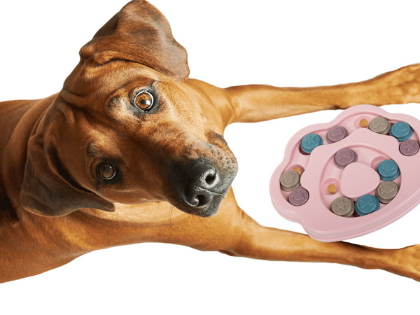 Juguete educativo para perros juego lógico de golosinas juego olfativo de puzzle