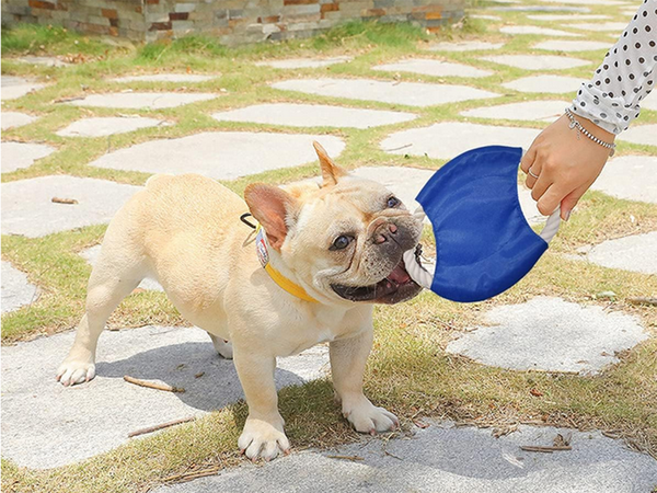 Juguete para perro chew tug rope frisbee disc