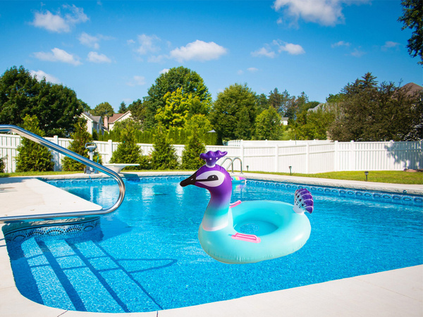 Pequeño círculo inflable pavo real de la rueda para el bebé a nadar en la piscina de agua