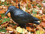 Ahuyentador de aves estorninos palomas roedores grande xxl